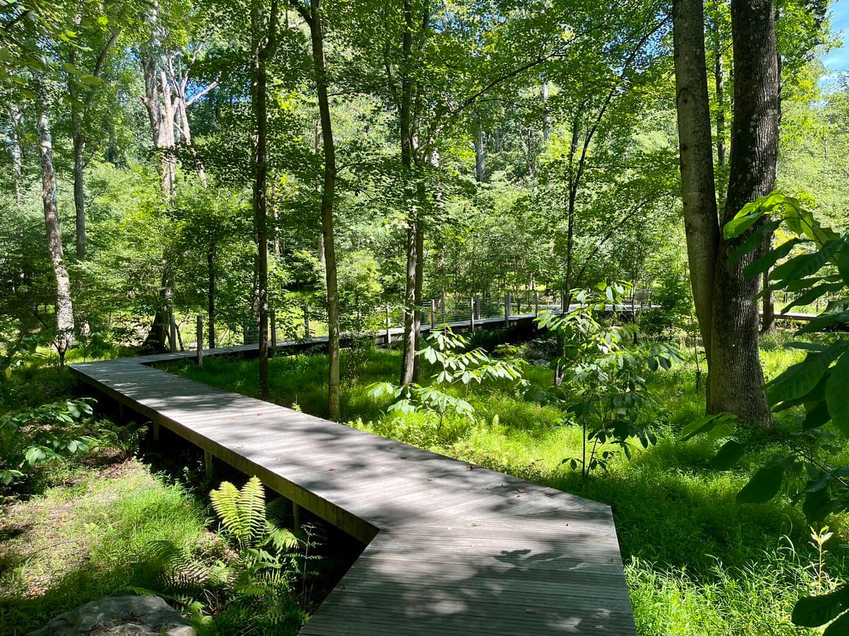 A wooden boardwalk winds through a lush, green forest with tall trees and dense undergrowth. The path is elevated on supports, allowing visitors to walk through the natural environment without disturbing the ground.