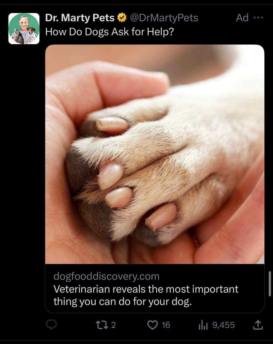 A screenshot of a Twitter ad from the account Dr. Marty Pets, featuring a close-up photo of a person's hand gently holding a dog's paw. The ad is titled 'How Do Dogs Ask for Help?' and includes a link to dogfooddiscovery.com with the caption 'Veterinarian reveals the most important thing you can do for your dog.'