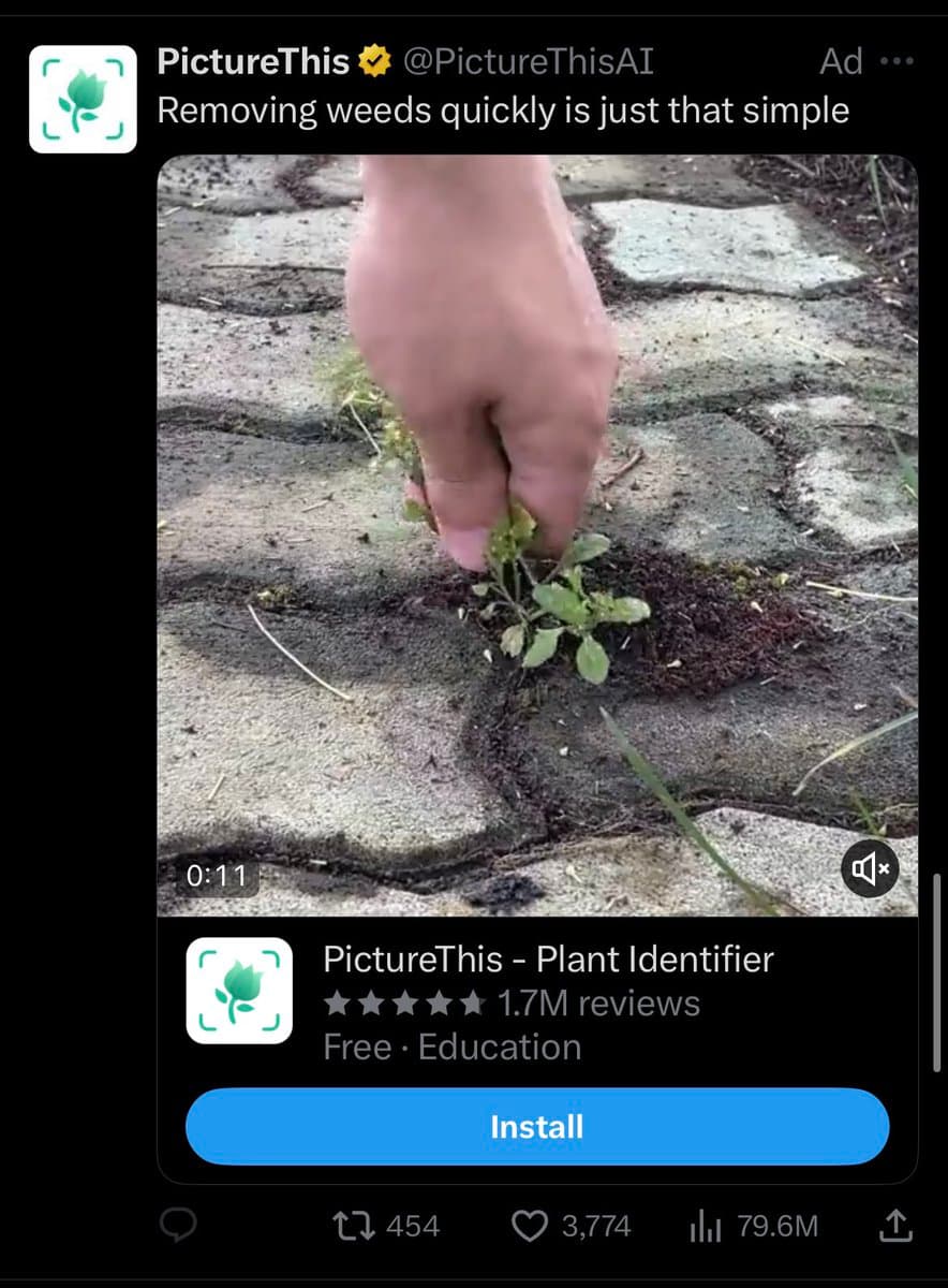 A screenshot of a Twitter post featuring an advertisement for the 'PictureThis' plant identification app. The ad displays a video of a hand pulling a weed from a stone path, accompanied by app store details and an install button.