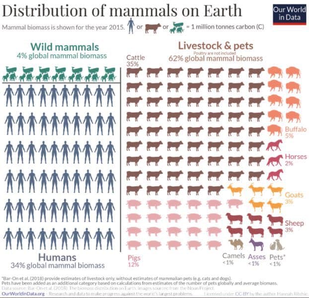 A data visualization chart titled 'Distribution of mammals on Earth' from Our World in Data, comparing the global biomass of wild mammals, humans, and livestock using pictograms. The chart shows that wild mammals make up 4% of global mammal biomass, humans 34%, and livestock and pets 62%.