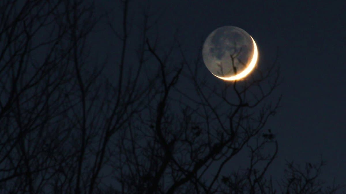 A nighttime photograph of a waxing crescent moon with a bright, glowing edge, set against a dark sky and silhouetted by bare tree branches in the foreground.