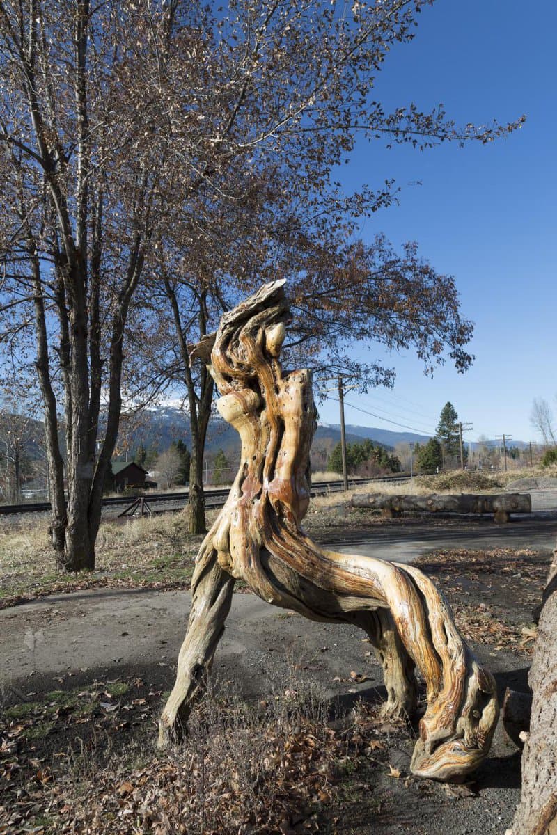 A photograph of a large, intricately carved wooden sculpture resembling a standing animal, set outdoors on a paved area with trees, a railway track, and mountains in the background under a clear blue sky.