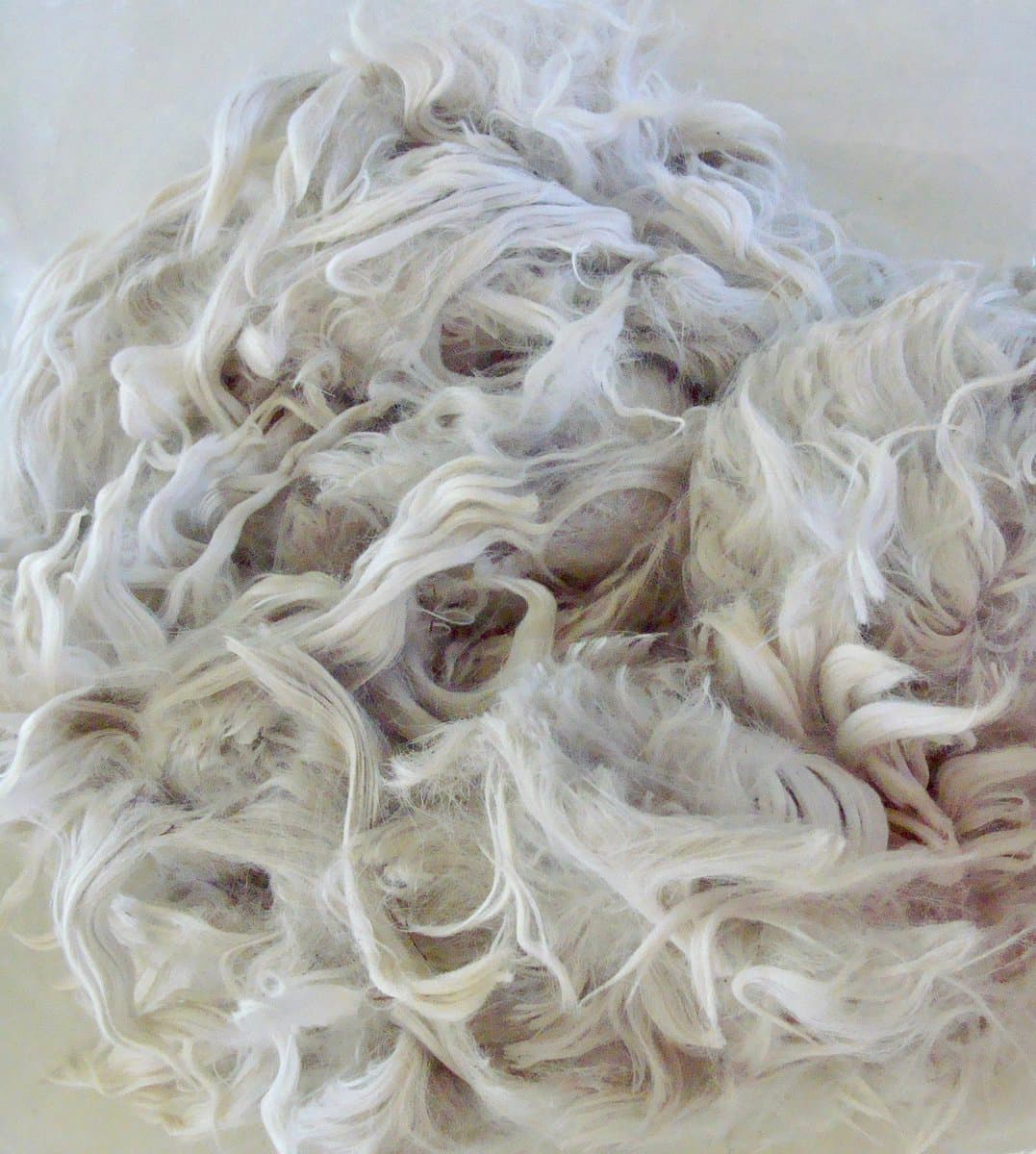 A close-up photograph of a large, fluffy mass of white, curly fiber, likely alpaca wool or fleece. The texture is soft and voluminous, filling the entire frame against a plain, light-colored background.