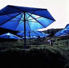 A photograph of a field with several large, blue, umbrella-like structures providing shade over rows of crops. A person is visible walking in the field between the structures.