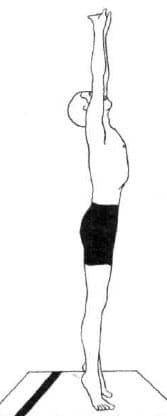 A black-and-white line drawing of a person standing on a diving board with their arms raised straight above their head, preparing to dive. The figure is wearing dark shorts and is positioned at the edge of the platform.