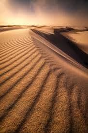 A landscape photograph of sand dunes with wind-blown ripples in the foreground, illuminated by warm, golden light from a low sun on the horizon. The image captures the texture of the sand and the sweeping curves of the dunes against a hazy sky.