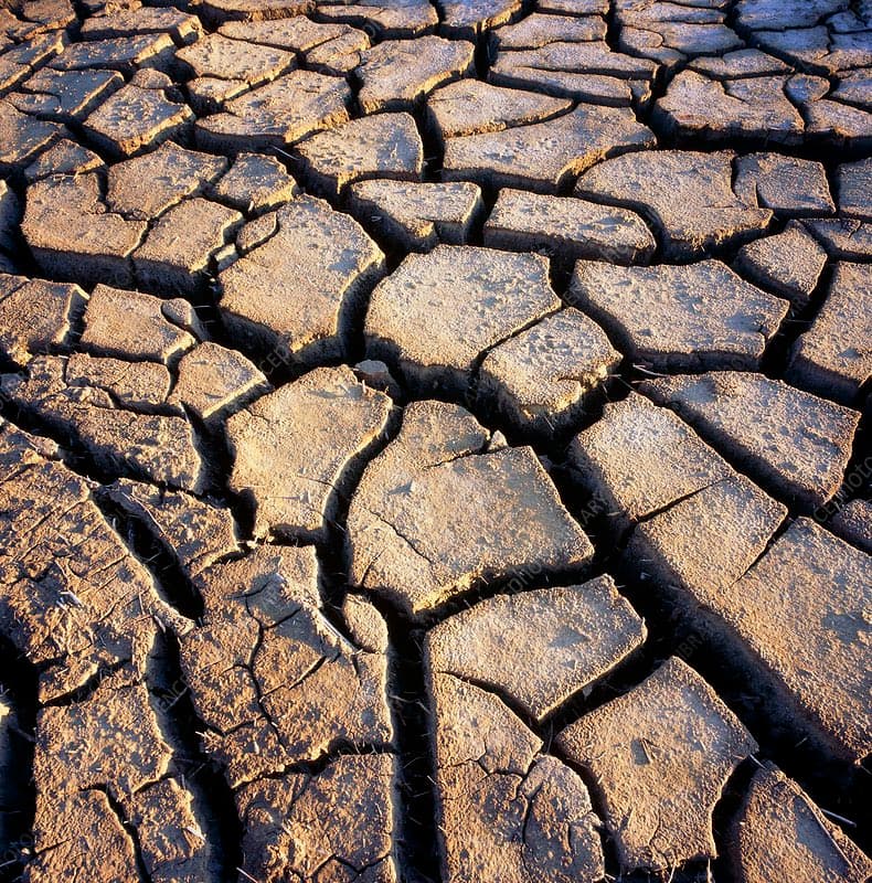 A close-up photograph of dry, cracked earth, showing a network of deep fissures in the soil illuminated by warm, low-angle sunlight.