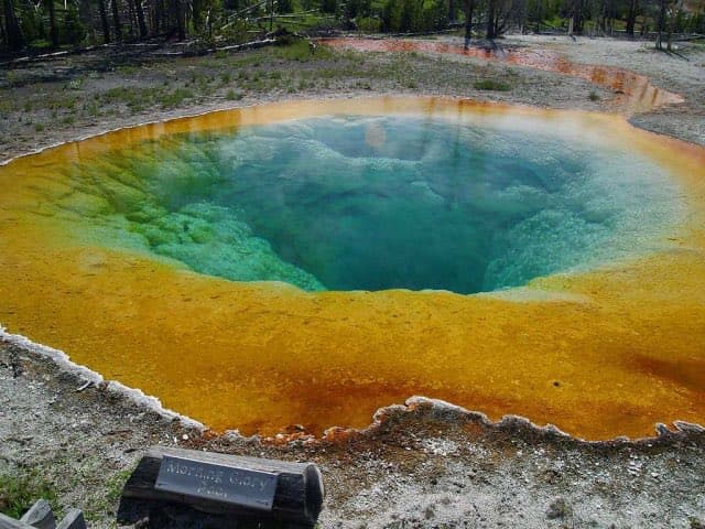 A photograph of a colorful hot spring with a deep blue-green center and a vibrant yellow-orange microbial mat around its edges, set in a forested landscape. A small wooden sign is visible in the foreground. The image appears to be a screenshot of a Twitter post, as indicated by the context provided.