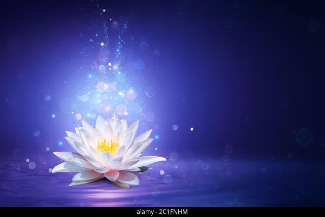 A digital illustration of a white lotus flower with a yellow center, emitting a stream of glowing blue and white particles against a dark purple background. The image has a mystical, ethereal quality with soft bokeh effects.
