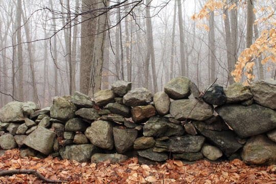 A low stone wall constructed from large, irregular rocks sits in a misty forest with bare trees and a ground covered in fallen brown leaves.
