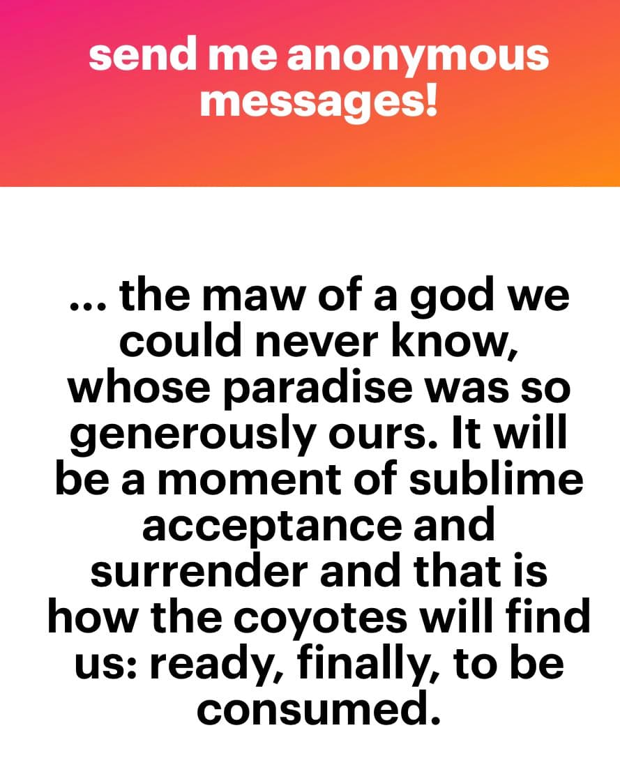 A screenshot of an NGL anonymous message card. The top banner reads "send me anonymous messages!" in white text on a pink-to-orange gradient. Below, on a white background, is a block of black text containing a poetic passage.