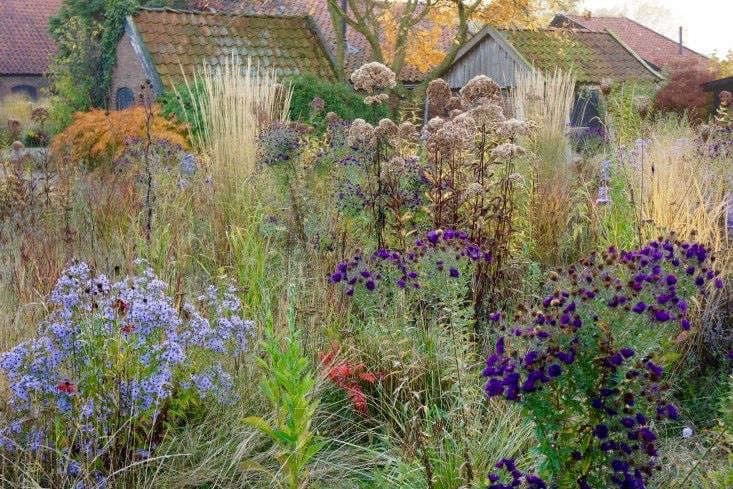 A landscape photograph of a wild garden in autumn, featuring tall ornamental grasses, purple thistles, and other flowering plants in the foreground, with a rustic stone cottage and trees in the background.