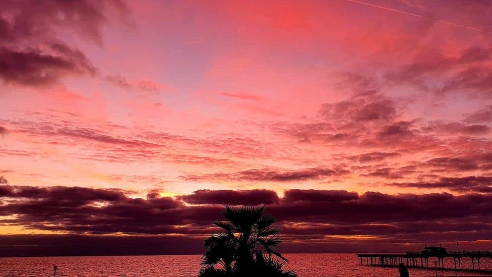 A scenic photograph of a vibrant sunset over a body of water, featuring a dramatic sky filled with pink and purple clouds. A silhouetted palm tree stands in the foreground, with a pier visible on the right side of the horizon.