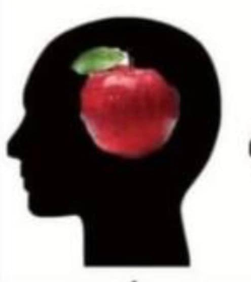 A black silhouette of a human head in profile facing left, with a red apple and green leaf placed inside the head area. The image is set against a plain white background.
