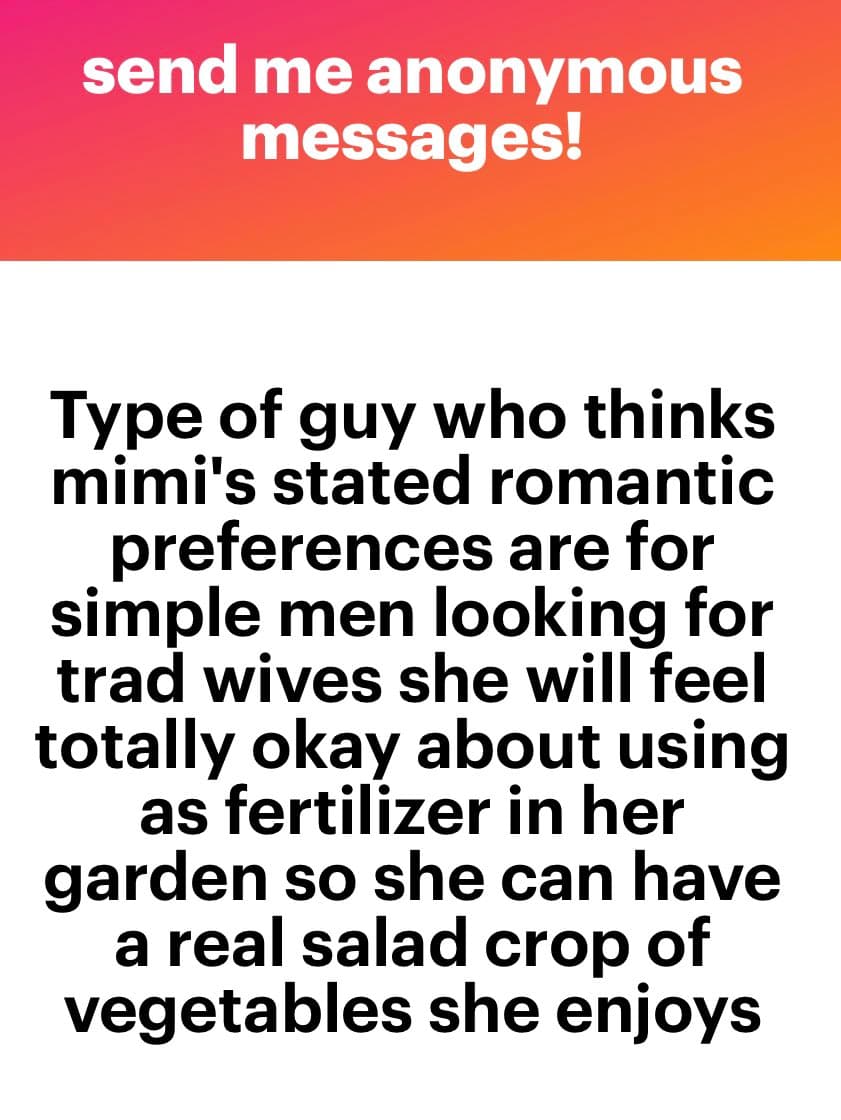 A screenshot of an anonymous message from a platform like NGL, featuring a red-to-orange gradient header and a white body with black text. The message is a satirical 'type of guy' joke directed at a person named Mimi.