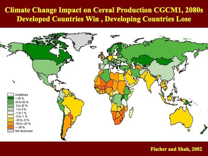 A world map chart titled "Climate Change Impact on Cereal Production CGCM1, 2080s" showing projected percentage changes in cereal production by country, with a color-coded legend indicating that developed countries (like the US and Canada) are projected to gain while developing countries (in Africa and South America) are projected to lose. The source is cited as Fischer and Shah, 2002.