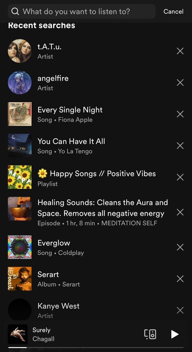 A screenshot of a music streaming app's search screen, showing a list of recent searches. The list includes artists, songs, albums, and playlists such as t.A.T.u., angelfire, and 'Every Single Night' by Fiona Apple.