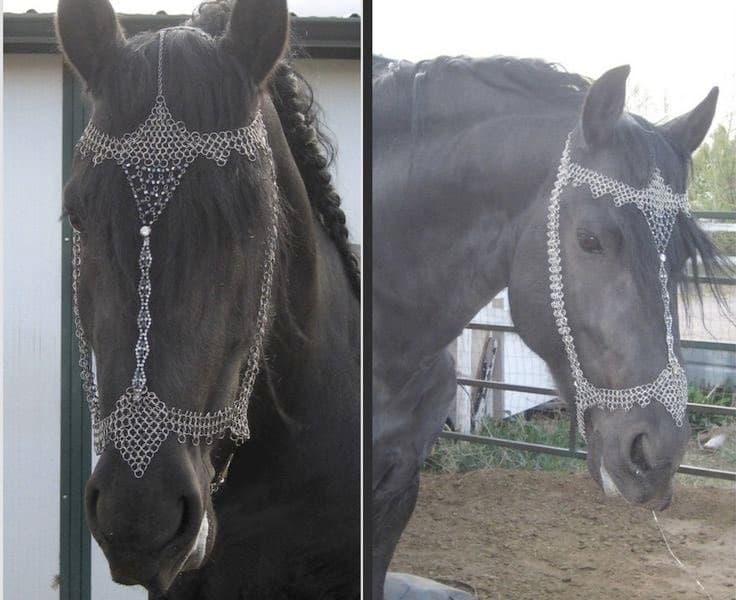 A side-by-side comparison of two dark-colored horses, each wearing an ornate, silver-colored chainmail bridle that covers their foreheads and muzzles. The horse on the left is shown in a close-up profile view, while the horse on the right is shown in a three-quarter view in an outdoor paddock.