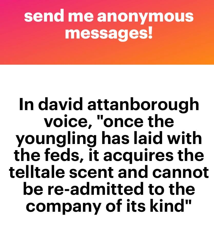 A text-based image with a red-to-orange gradient header and a white body. The header reads "send me anonymous messages!" in white text. The body contains a humorous quote in black text.