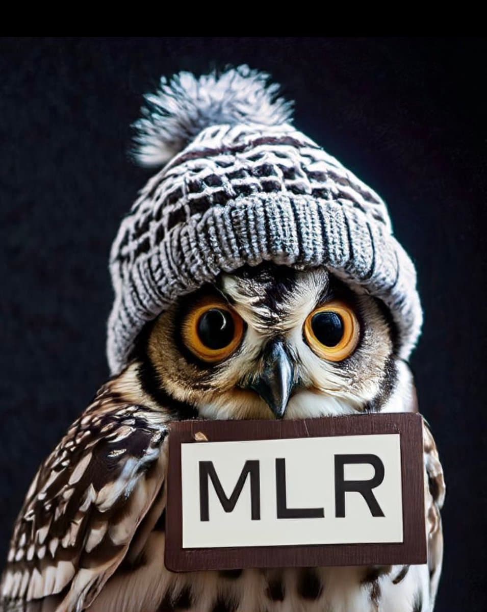 A close-up photograph of an owl wearing a gray and white knit beanie with a pom-pom, holding a small sign in front of its chest. The sign displays the text 'MLR' in bold black letters on a white background.