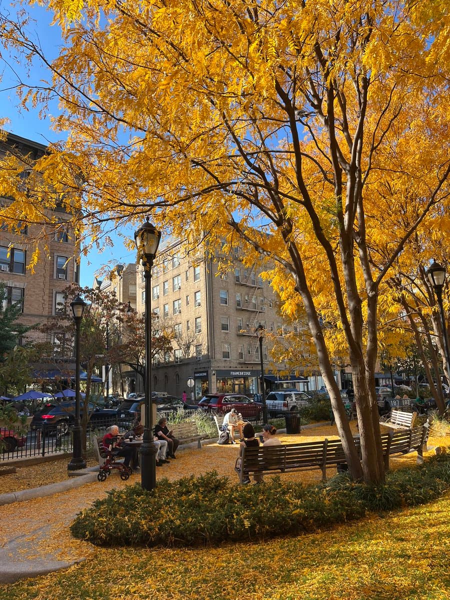 A photograph of a city park on a sunny autumn day, featuring trees with vibrant yellow leaves and a ground covered in fallen foliage. Several people are seated on wooden benches in the foreground, with brick apartment buildings and a street visible in the background.