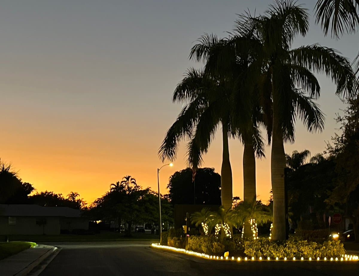 A photograph of a residential street at dusk, featuring tall palm trees silhouetted against a vibrant orange and purple sunset sky. The foreground shows a landscaped median with small decorative lights and a street lamp, while a stop sign is visible in the background on the right.