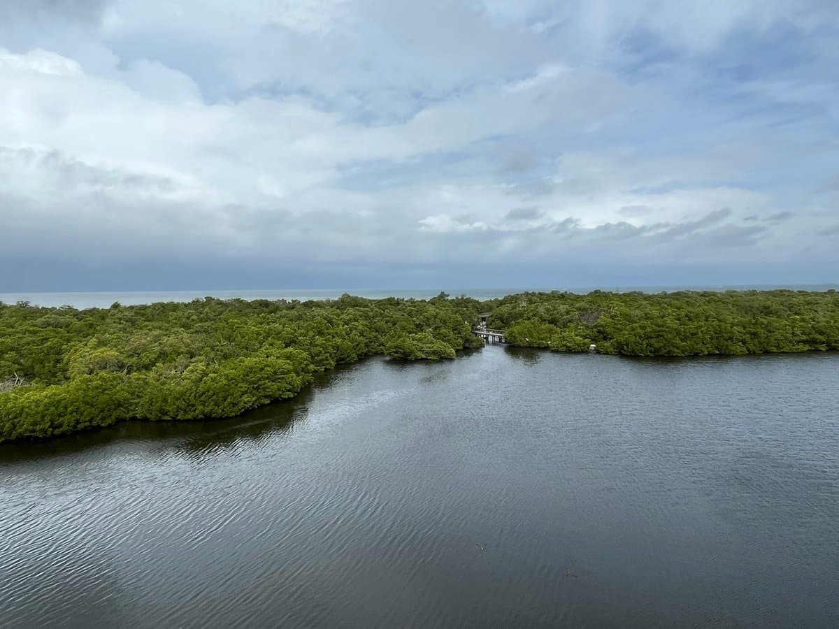 An aerial view of a calm body of water bordered by a dense, green mangrove forest under a cloudy, overcast sky. A small wooden bridge or walkway is visible connecting sections of the mangrove in the distance.