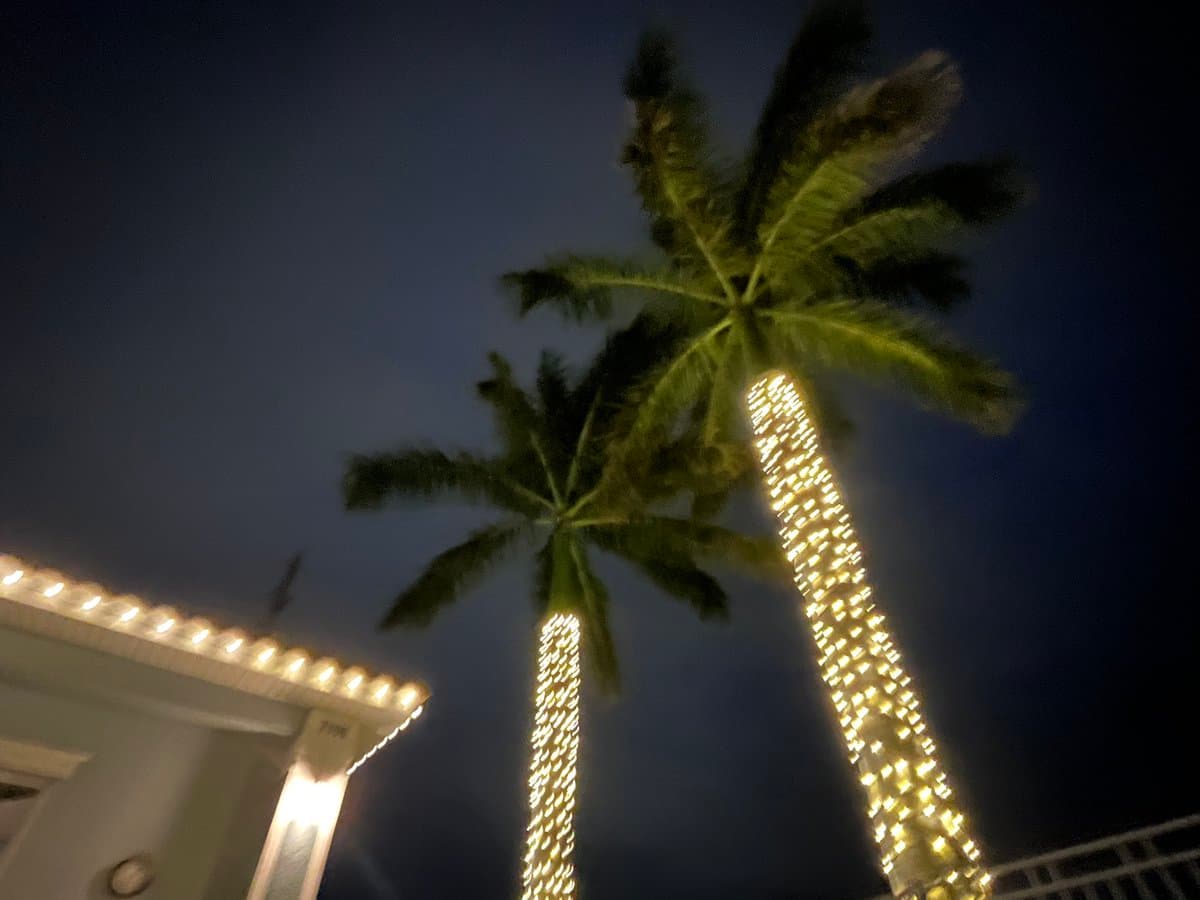 A low-angle night photograph of two palm trees wrapped in bright string lights, set against a dark blue sky. The corner of a building with illuminated eaves is visible in the lower left foreground.