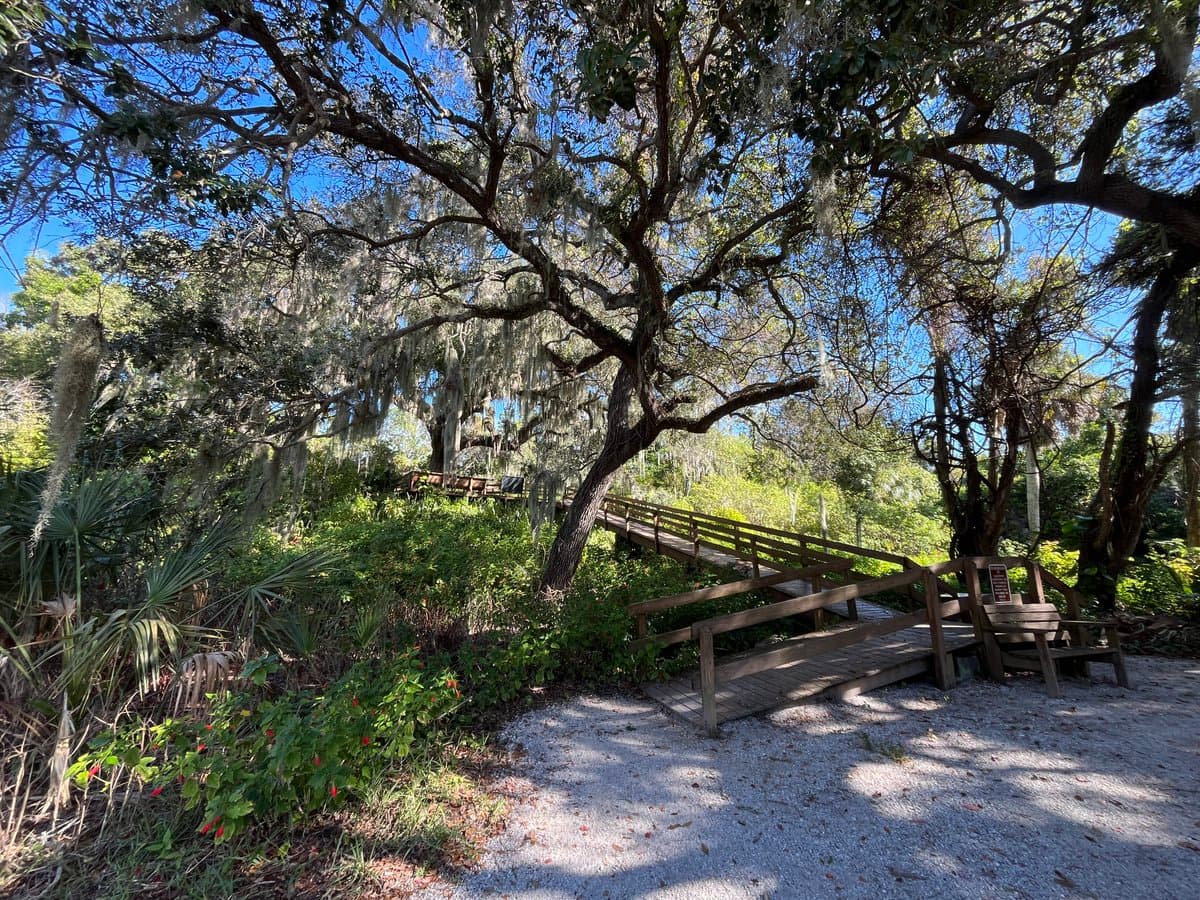 A scenic outdoor photograph showing a wooden boardwalk bridge winding through a lush, green forest with Spanish moss hanging from the trees. A gravel path leads to the bridge, and a wooden bench is visible on the right side.
