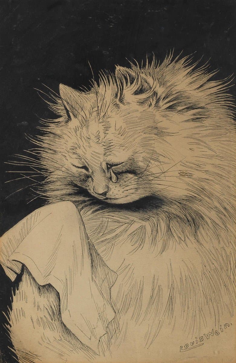 A black-and-white ink drawing of a fluffy cat with its eyes closed, resting its head on a draped cloth. The cat's fur is rendered with fine, expressive lines, and the artist's signature is visible in the lower right corner.
