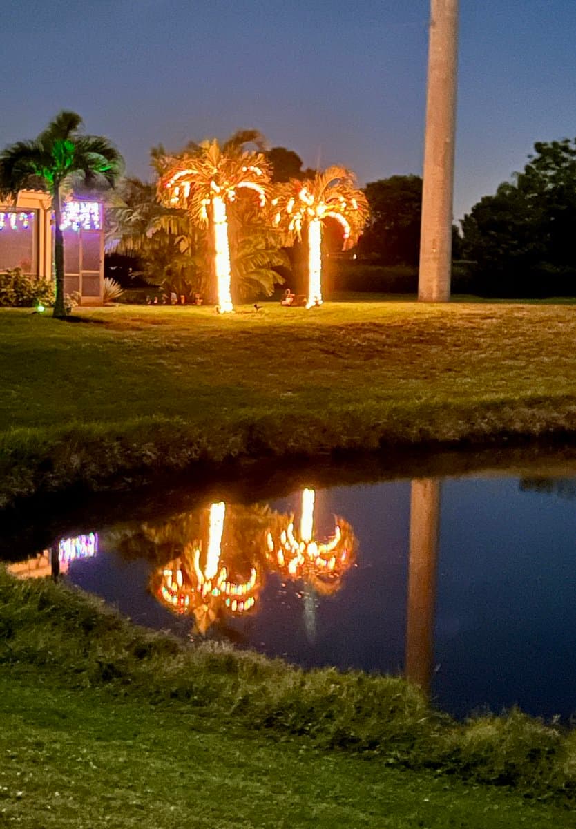 A nighttime photograph of a landscaped outdoor area featuring palm trees decorated with bright string lights, which are reflected in a nearby body of water. A tall concrete pole stands on the right side of the scene, and a building with illuminated windows is visible on the left.