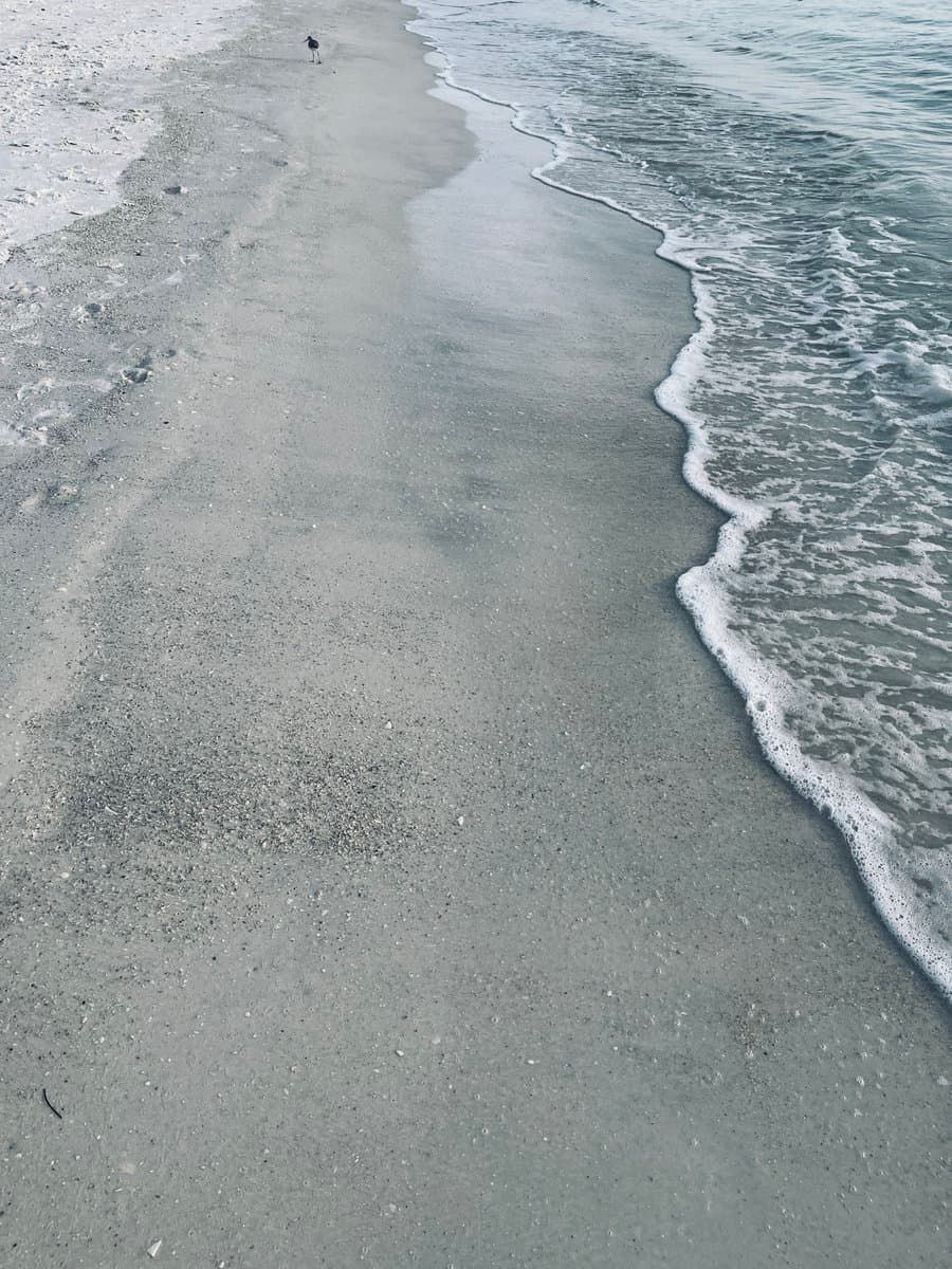 A high-angle photograph of a wet, sandy beach shoreline with gentle waves washing over the sand. A small bird stands in the distance near the water's edge, while the foreground shows smooth, wet sand with no visible footprints.