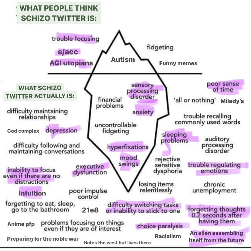 A Venn diagram meme titled 'WHAT PEOPLE THINK SCHIZO TWITTER IS' versus 'WHAT SCHIZO TWITTER ACTUALLY IS,' illustrating the overlap between the two concepts with various labeled traits. The diagram uses a central intersection labeled 'Autism' and lists numerous other characteristics such as 'sensory processing disorder,' 'hyperfixations,' and 'choice paralysis' in the overlapping and non-overlapping sections.