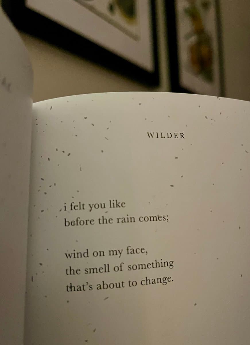 A close-up photograph of an open book page featuring a short poem, with framed artwork visible on the wall in the background. The page has a speckled texture and displays the title 'WILDER' above the text.