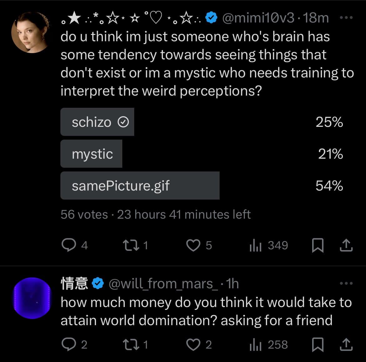 A screenshot of a Twitter conversation showing a poll and a reply. The top post by @mimi10v3 asks if they are a 'schizo' or a 'mystic' with a poll showing 25% for 'schizo', 21% for 'mystic', and 54% for 'samePicture.gif'. The reply from @will_from_mars_ asks how much money it would take to attain world domination.