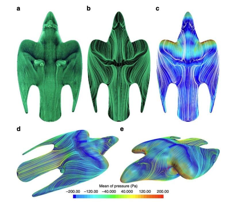 A scientific figure consisting of five panels (labeled a through e) showing 3D computational fluid dynamics visualizations of a peregrine falcon in flight. The images use colored streamlines and surface coloring to illustrate airflow patterns and vortices around the bird's body and wings. A color bar at the bottom indicates the 'Mean of pressure (Pa)' scale.