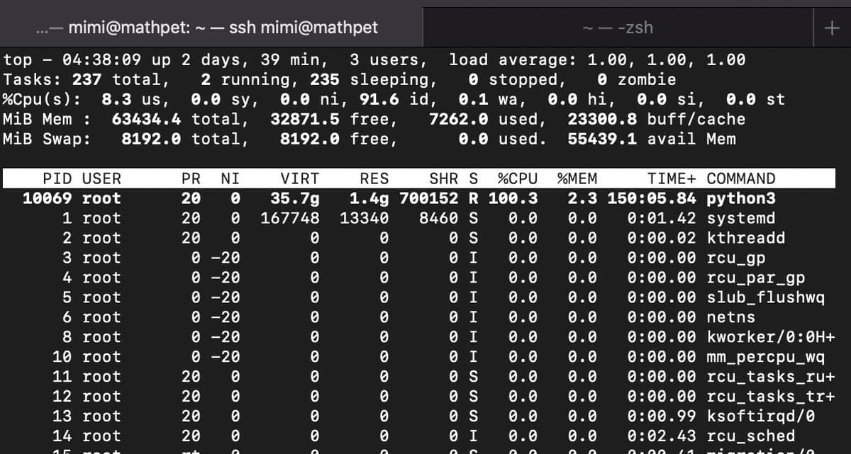 A screenshot of a Linux terminal displaying the output of the 'top' command, which shows real-time system statistics and a list of running processes. The most prominent process is 'python3', which is using 100.3% of the CPU.
