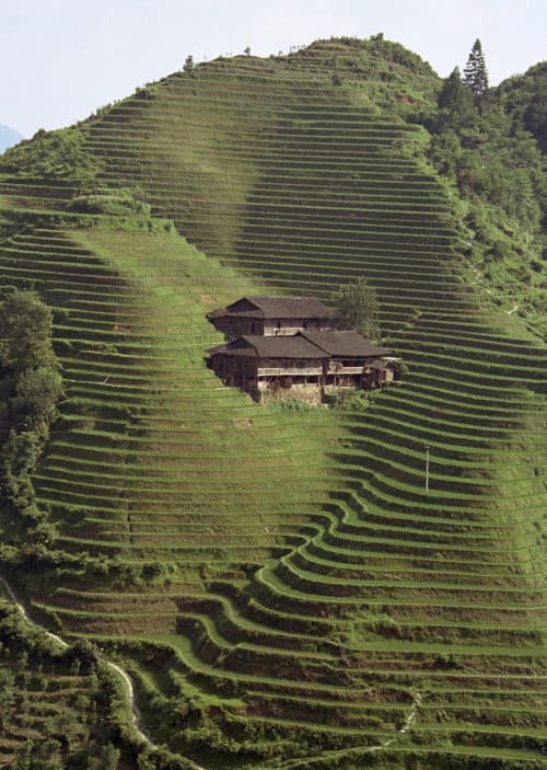 A landscape photograph showing a hillside covered in green terraced fields, with a small wooden building nestled in the center of the slope. The terraces follow the contours of the hill, creating a layered pattern that extends from the foreground to the top of the hill.