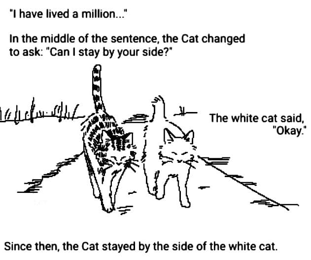 A black-and-white comic-style illustration showing a tabby cat and a white cat walking side by side, with text panels above and below the image. The text tells a short story about the tabby cat asking to stay by the white cat's side, which the white cat agrees to. The image is a text-bearing illustration, likely from a children's book or digital story.