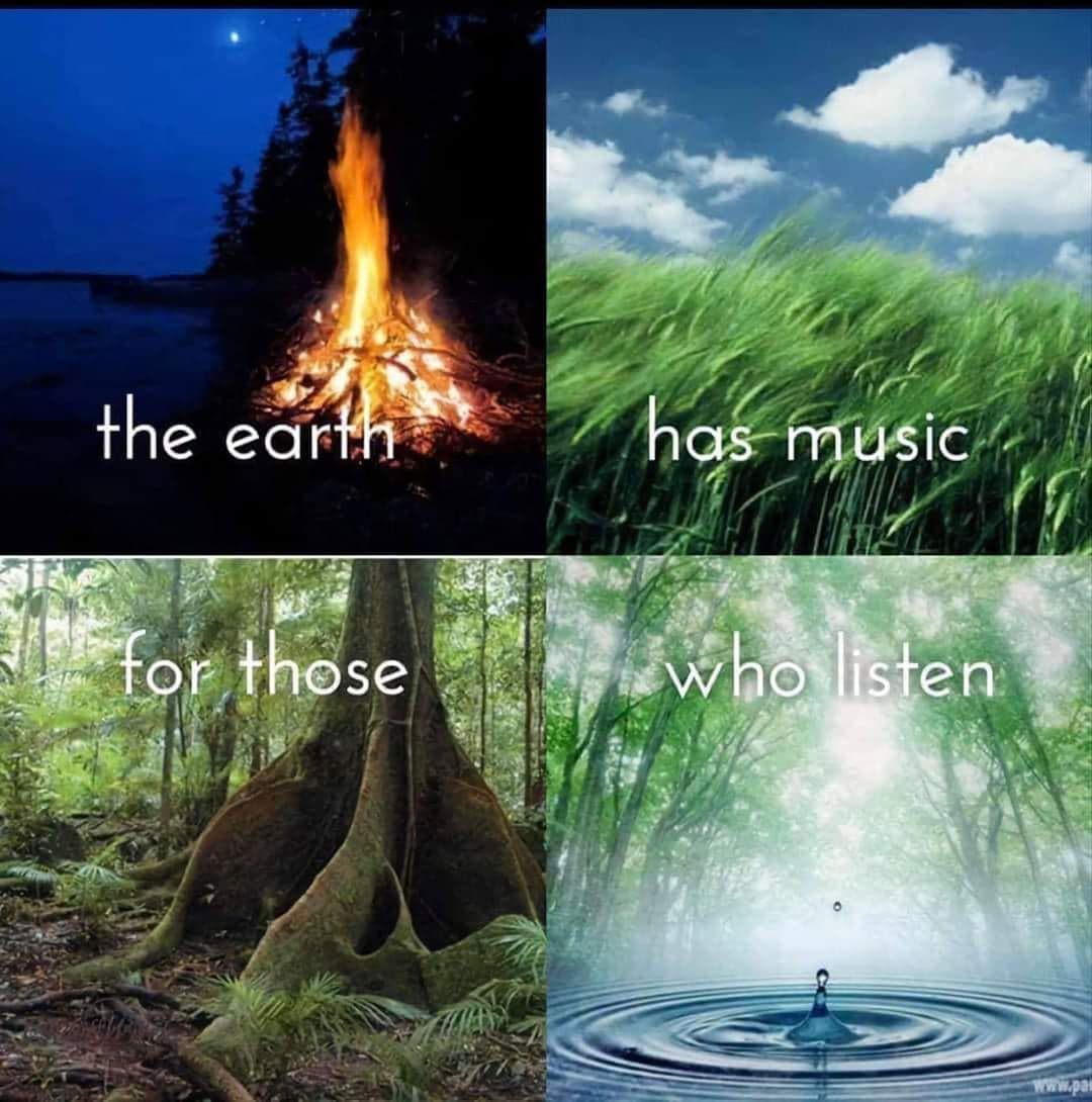 A four-panel meme featuring nature scenes with text overlaid on each quadrant. The top-left shows a campfire at night, the top-right shows grass blowing in the wind, the bottom-left shows a large tree in a forest, and the bottom-right shows a water droplet creating ripples in a misty forest. The text reads: 'the earth has music for those who listen'.