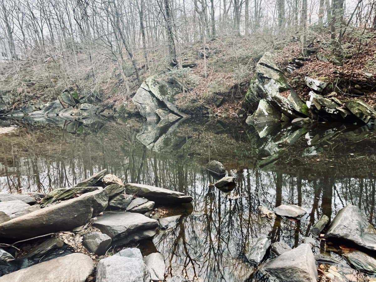 A landscape photograph showing a calm, reflective body of water bordered by large, flat rocks and a forest of bare trees on a hillside. The still water creates a clear mirror image of the surrounding trees and rocky shoreline.
