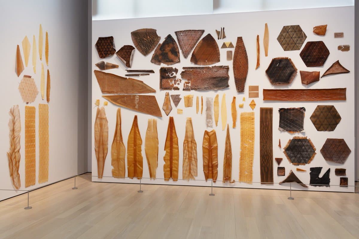 A wide shot of a gallery installation featuring numerous wooden and paper-like geometric shapes mounted on white walls. The pieces, which appear to be architectural models or material studies, are arranged in organized rows and columns on the wall and a side panel.
