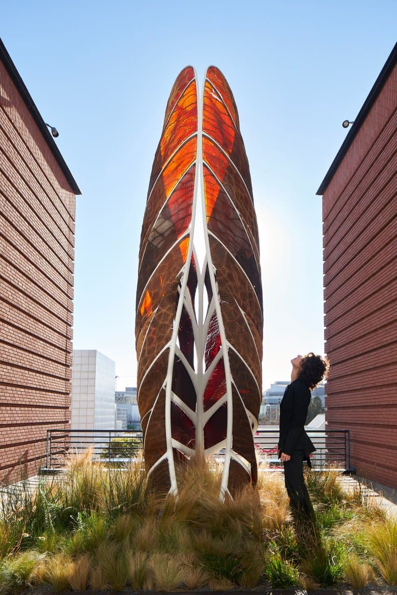 A tall, leaf-shaped sculpture with a white ribbed frame and translucent orange-red panels stands on a rooftop garden between two brick buildings. A person in dark clothing stands to the right, looking up at the artwork against a clear blue sky.