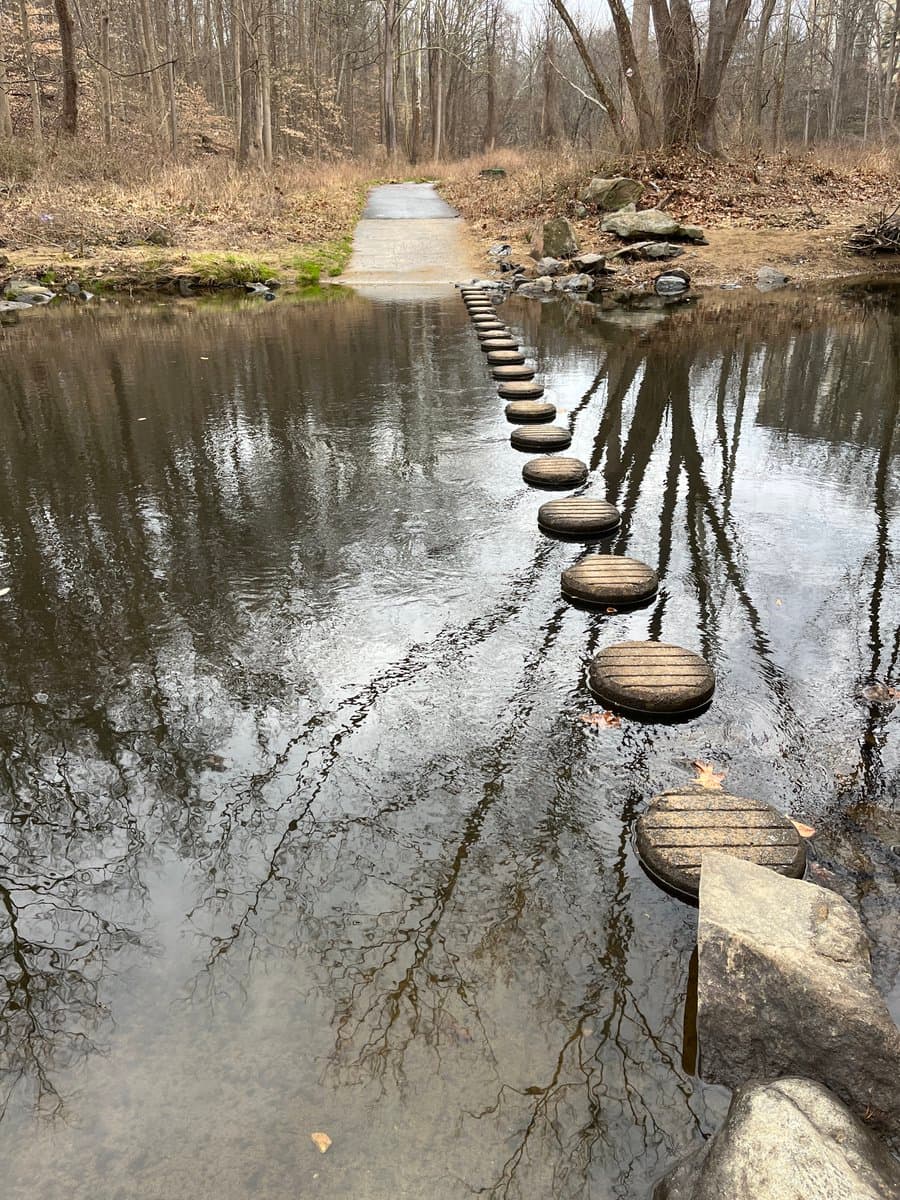A stone stepping-stone path crosses a calm, reflective pond in a wooded area, leading to a paved trail. The surrounding landscape features bare trees and dry grass, suggesting a late autumn or winter setting.