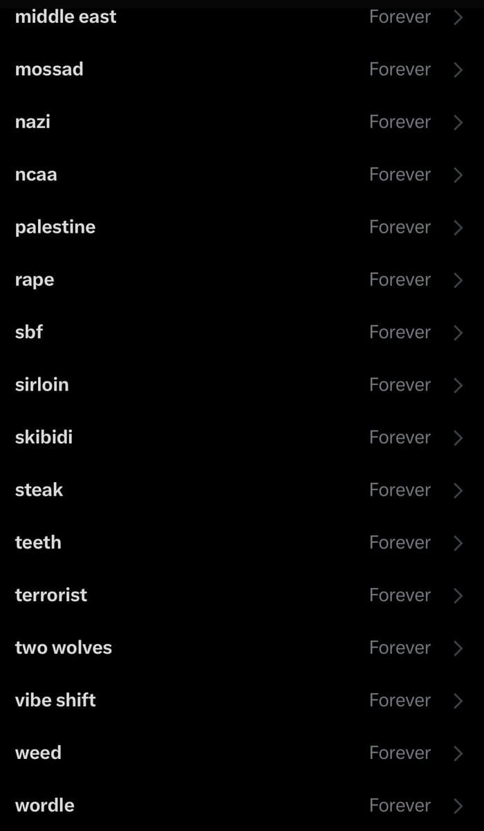 A screenshot of a Twitter mute list showing various keywords and the setting 'Forever' for each. The list includes terms like 'middle east', 'mossad', 'nazi', 'ncaa', 'palestine', 'rape', 'sbf', 'sirloin', 'skibidi', 'steak', 'teeth', 'terrorist', 'two wolves', 'vibe shift', 'weed', and 'wordle'.