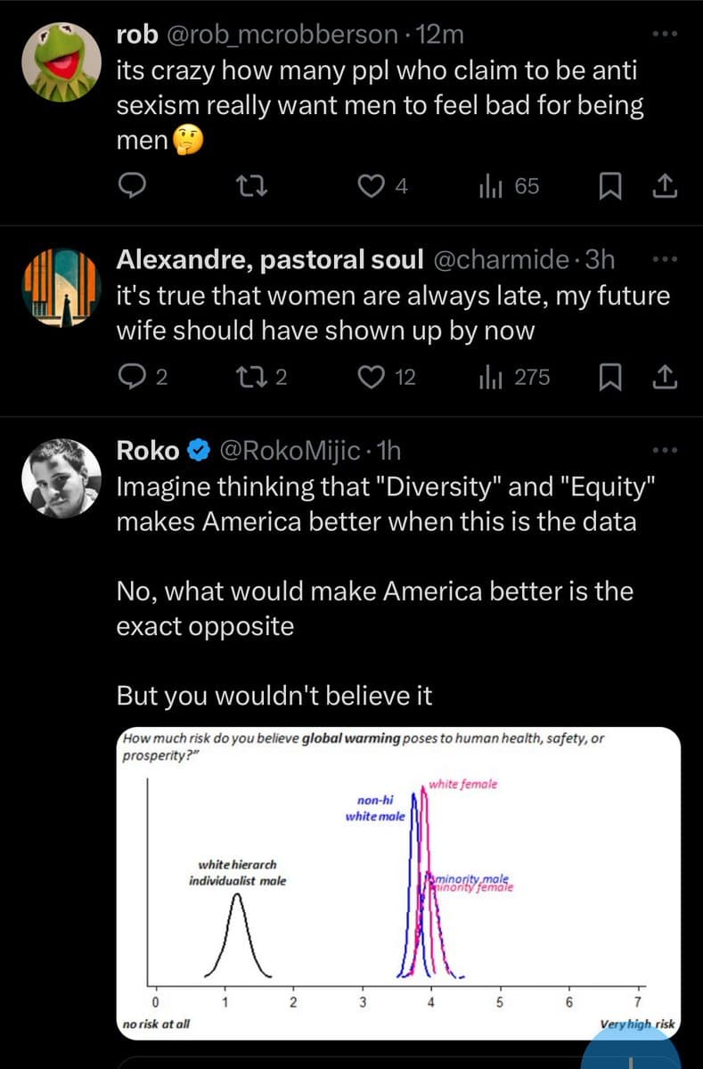 A screenshot of a Twitter thread featuring a satirical chart. The chart, titled 'How much risk do you believe global warming poses to human health, safety, or prosperity?', displays bell curves for different demographic groups, humorously placing 'white hierarch individualist male' at the lowest risk level.