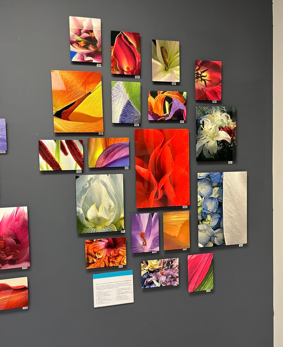 A gallery wall display featuring a collection of vibrant, close-up floral photographs mounted on a dark gray background. The images are arranged in a loose grid, each accompanied by a small label, with a descriptive text card visible at the bottom.