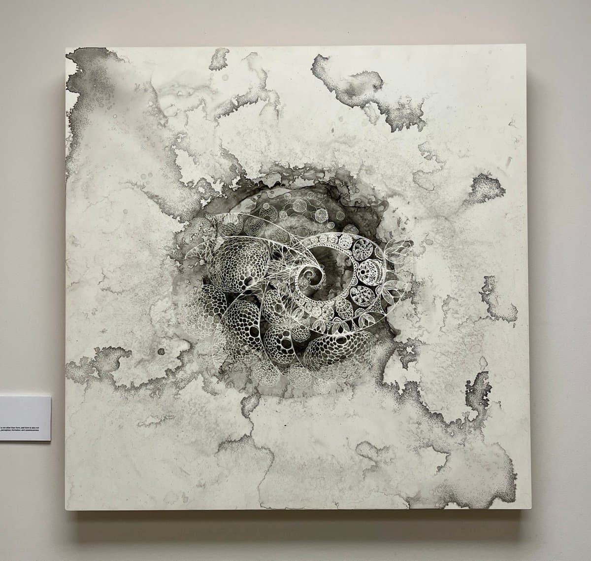 A black and white abstract painting featuring intricate, cellular patterns and organic swirls set against a marbled, ink-wash background. The artwork is displayed on a gallery wall with a small, partially visible label on the left.