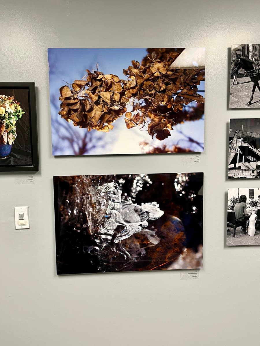 A gallery wall displaying several framed and unframed photographs, including a large color print of dried leaves against a blue sky and a close-up of splashing water.