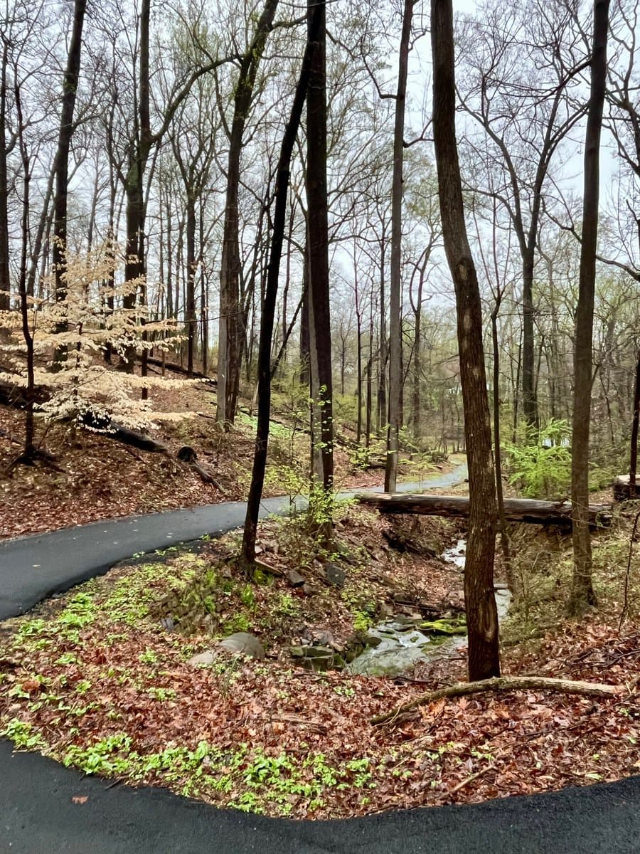 A paved path winds through a wooded area with bare trees and early spring foliage, crossing a small stream via a fallen log bridge.